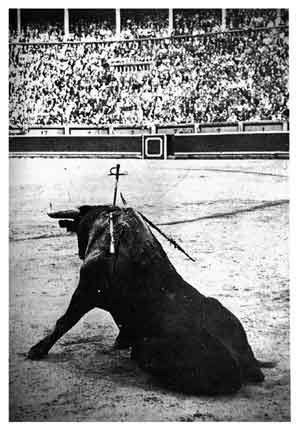 Anti Taurino